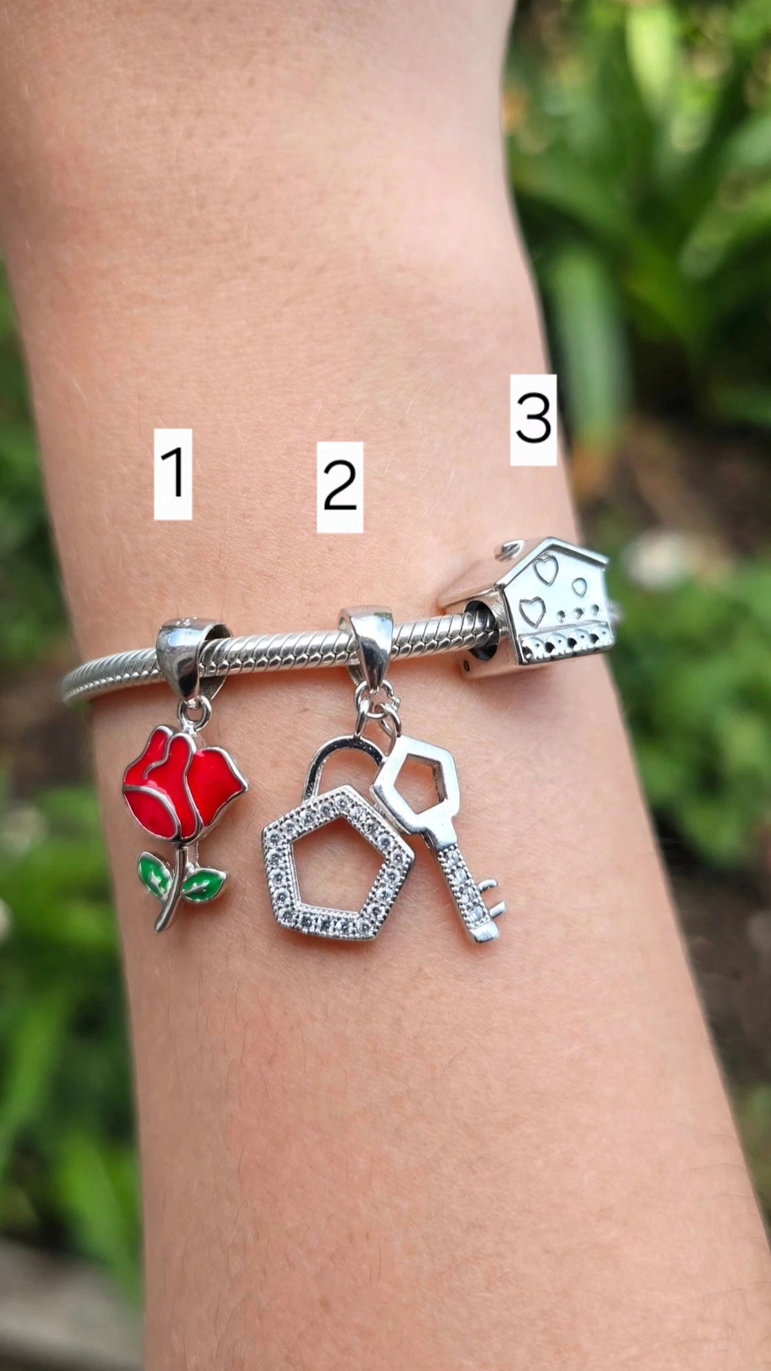 Charms Pandora 17