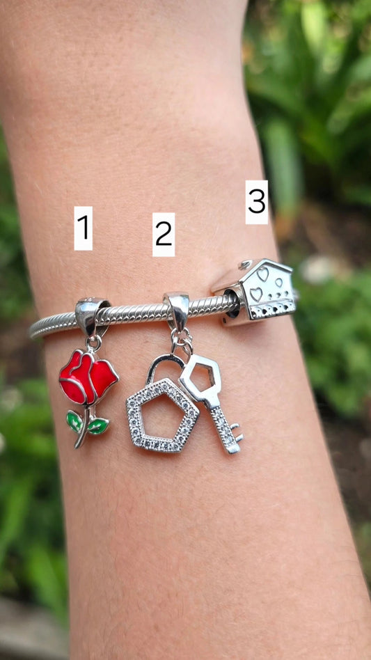 Charms Pandora 17