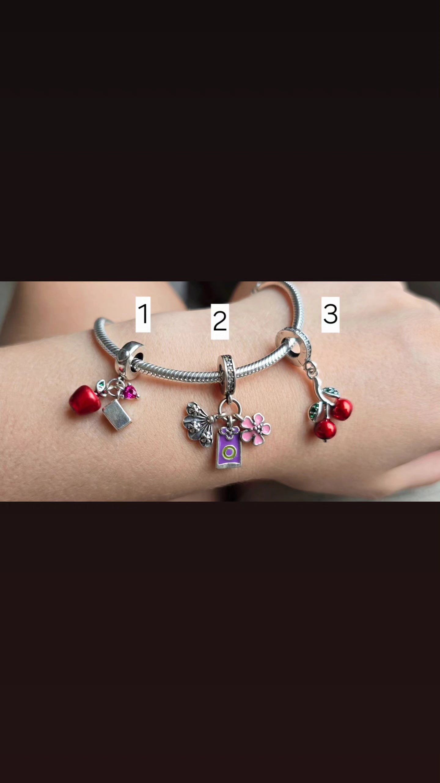 Charms Pandora 13
