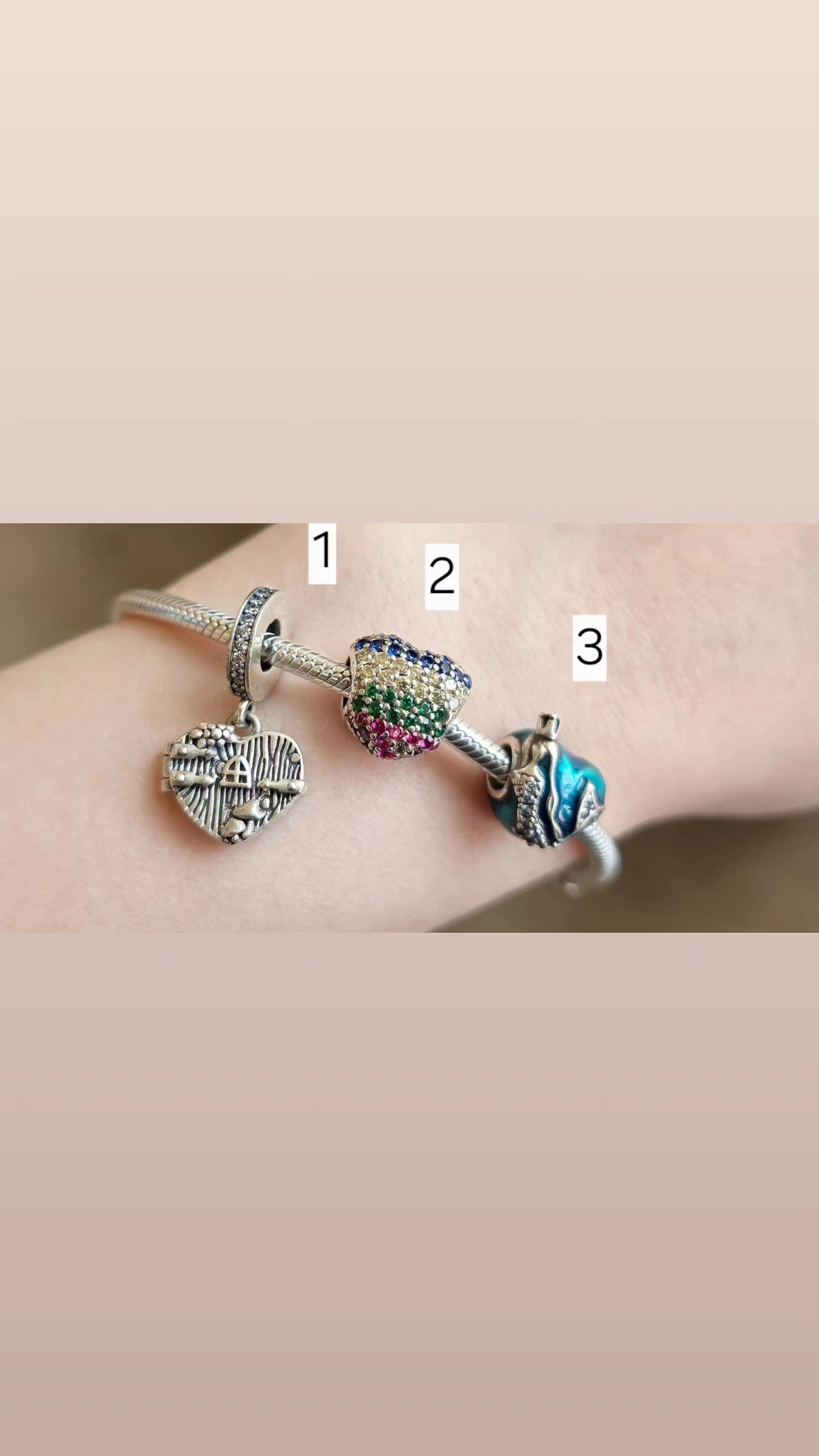 Charms Pandora 6