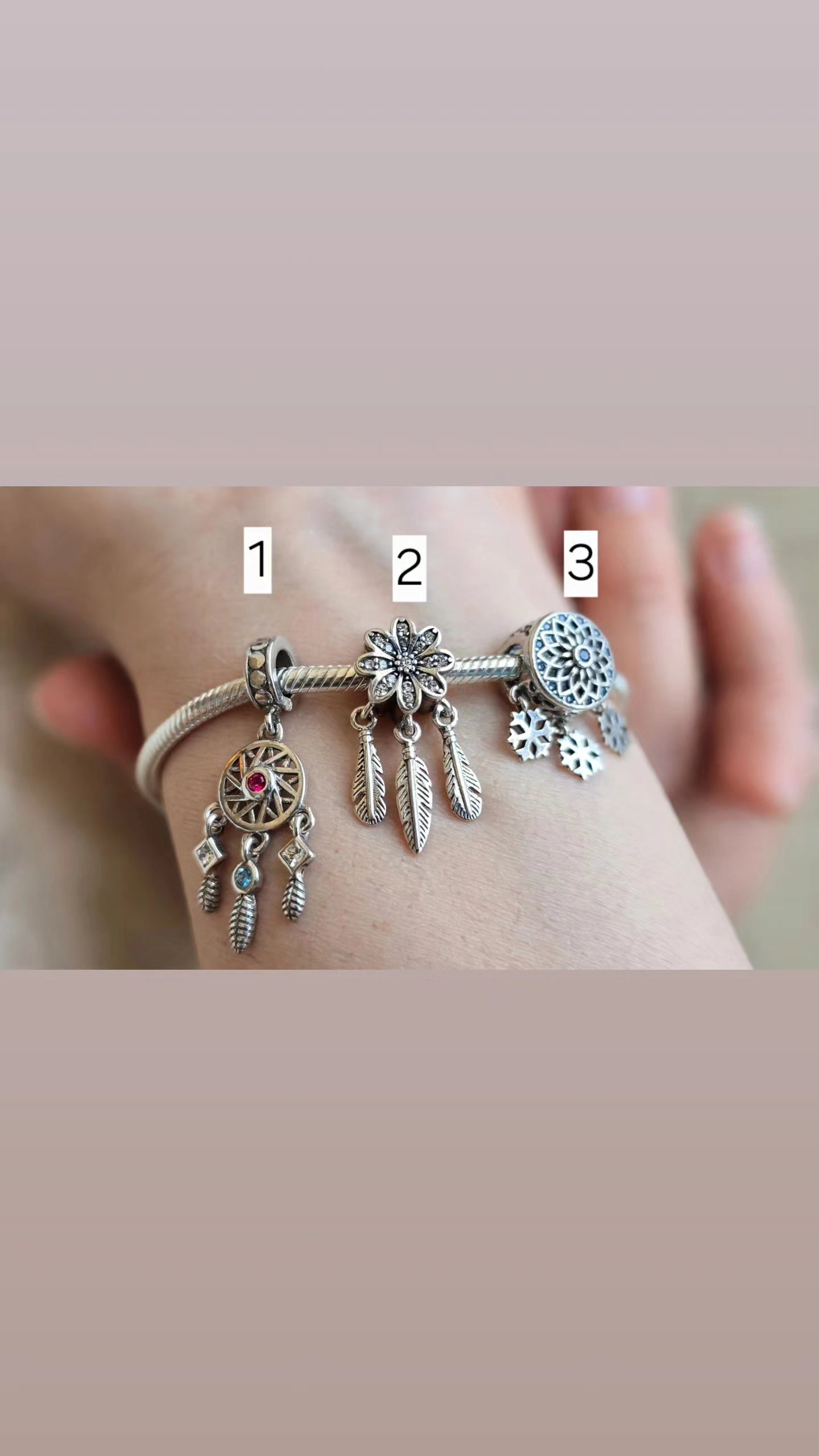 Charms Pandora 1
