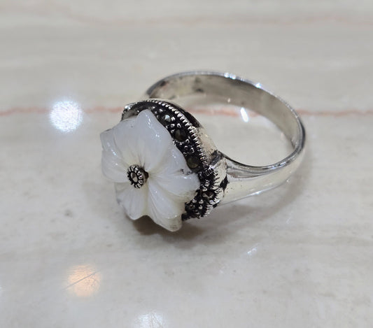 Collection 25 مركزت