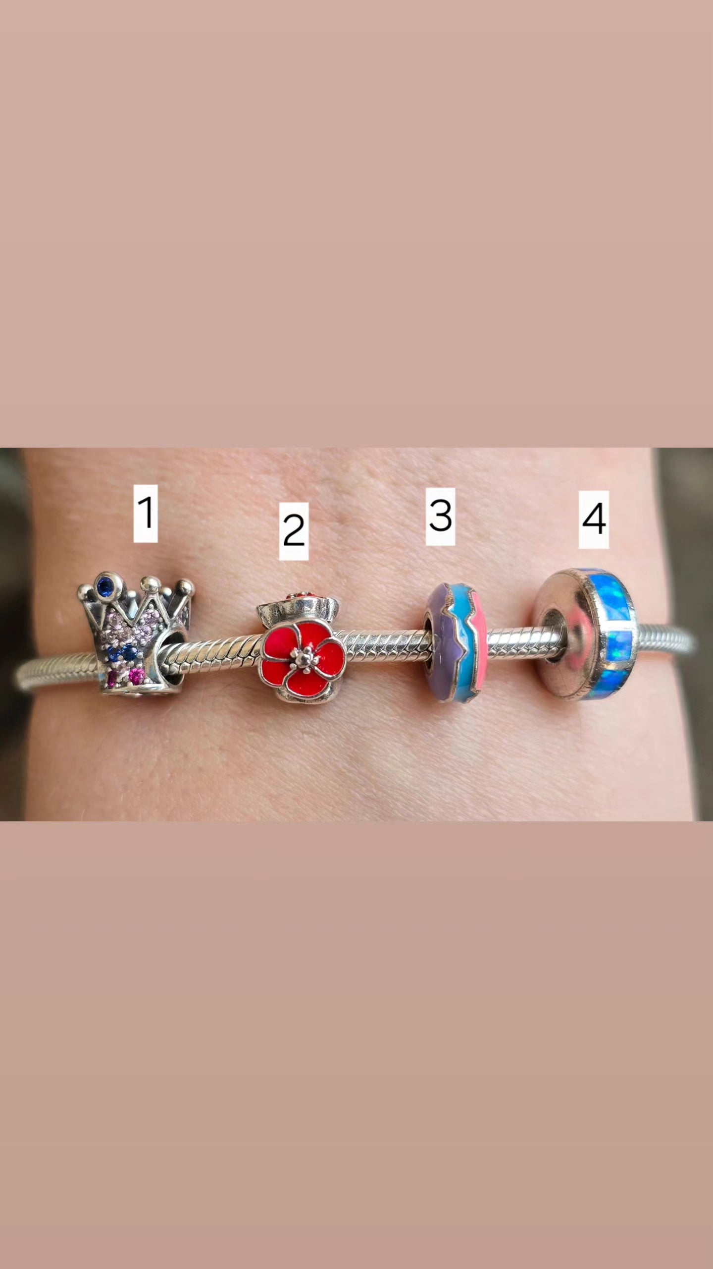 Charms Pandora 10