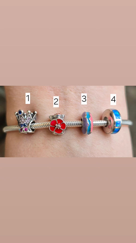 Charms Pandora 10
